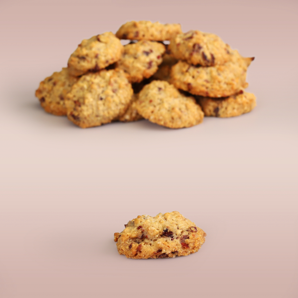 Haver Cranberry koekje